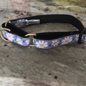 Up Country Dog collar size Medium Daisy pattern